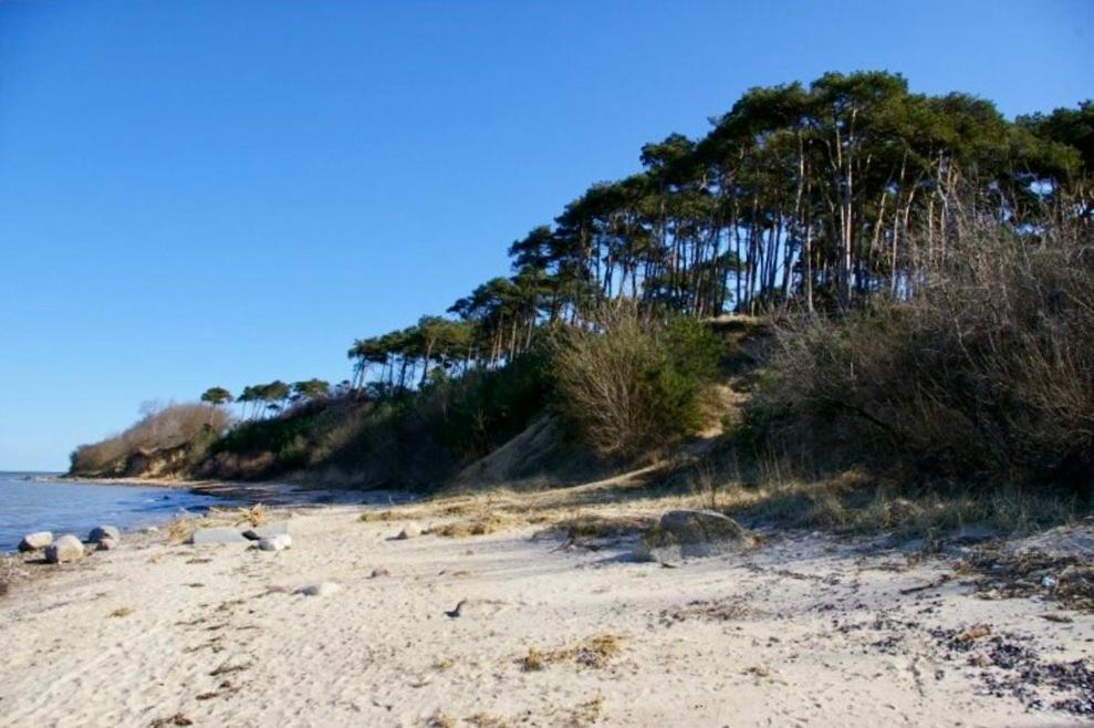 Tallskog - Dein Apartment Am Naturstrand Hohen Wieschendorf Hohenkirchen  المظهر الخارجي الصورة