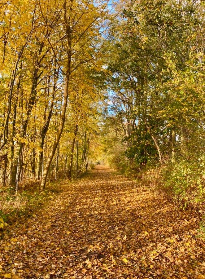 Tallskog - Dein Apartment Am Naturstrand Hohen Wieschendorf Hohenkirchen  المظهر الخارجي الصورة
