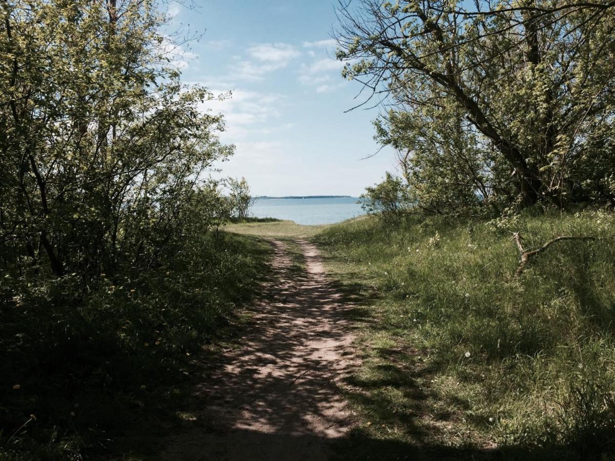Tallskog - Dein Apartment Am Naturstrand Hohen Wieschendorf Hohenkirchen  المظهر الخارجي الصورة